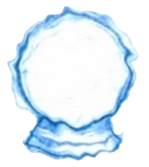 Artifact 4